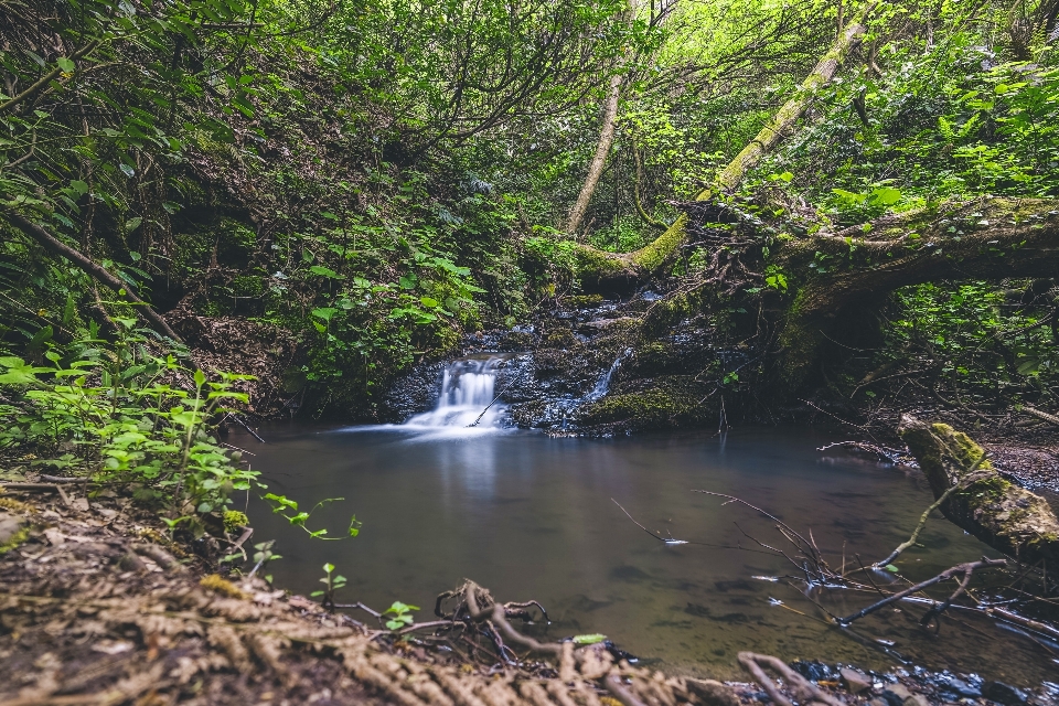 Cuerpo de agua
 recursos hídricos
 naturaleza agua