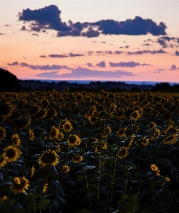 Sky nature natural landscape field Photo