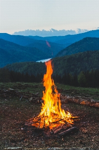 Flame fire bonfire campfire Photo