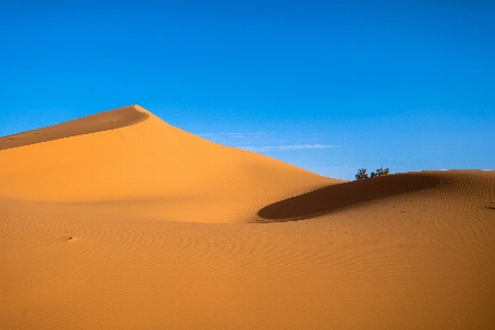 Desert sand erg aeolian landform Photo