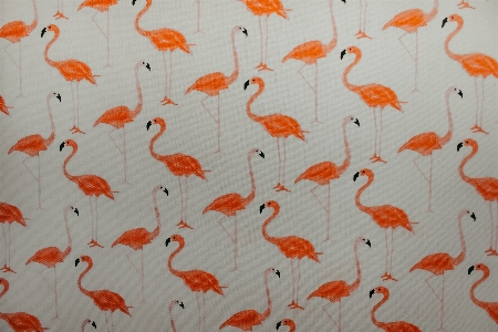 Orange organism flamingo pattern Photo