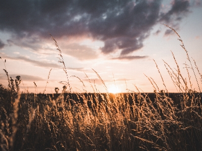 Sky nature cloud natural landscape Photo