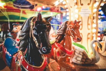 Foto Giro di divertimenti
 giostra parco cavallo