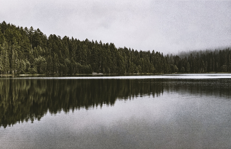 Body of water reflection nature natural landscape