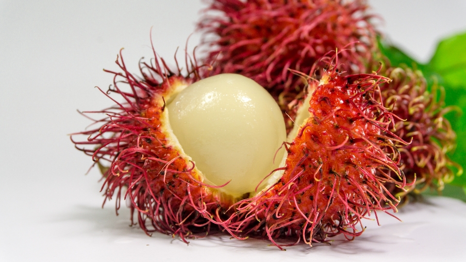 Rambutan soapberry family fruit food