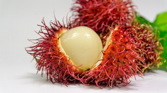 Foto Rambutan keluarga sabunberry
 buah makanan