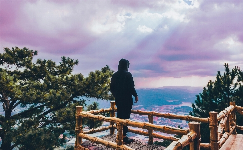 空 自然 クラウド 木 写真