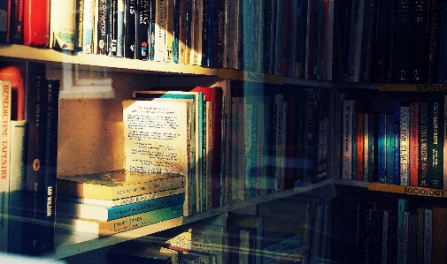 Bookcase shelving shelf book Photo