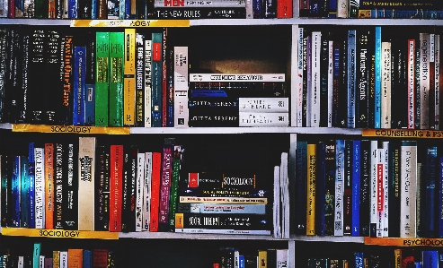 Shelving bookcase shelf book Photo