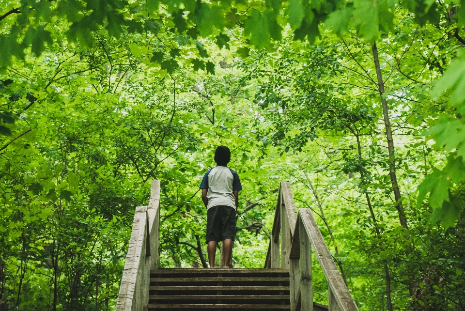 Les gens dans la nature
 vert nature arbre