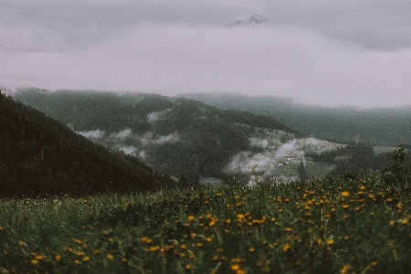 Mountainous landforms atmospheric phenomenon sky vegetation Photo