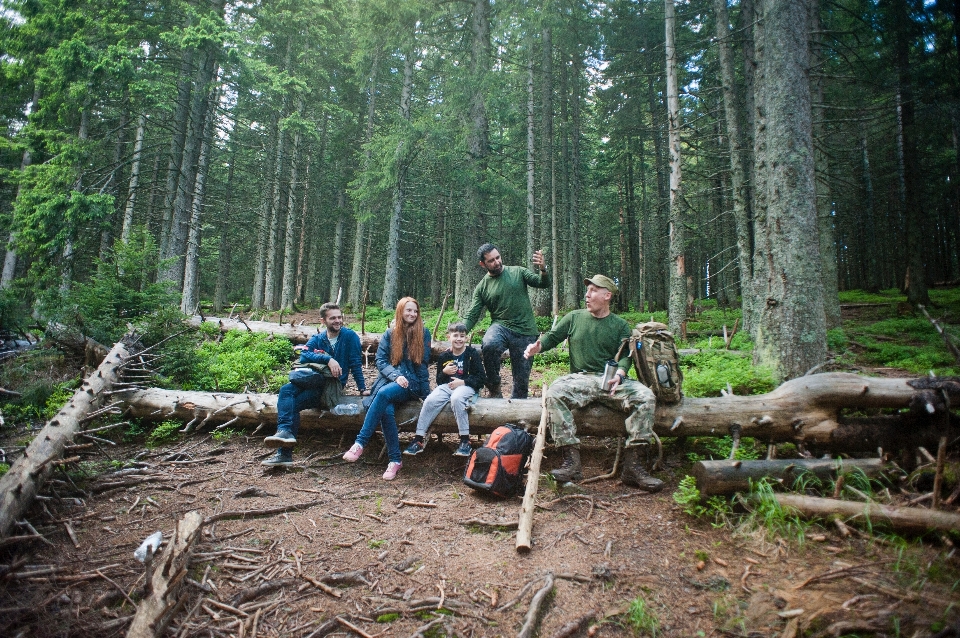 Forest old growth nature reserve wilderness