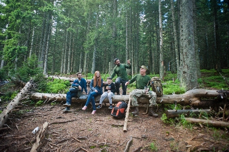 Forest old growth nature reserve wilderness Photo