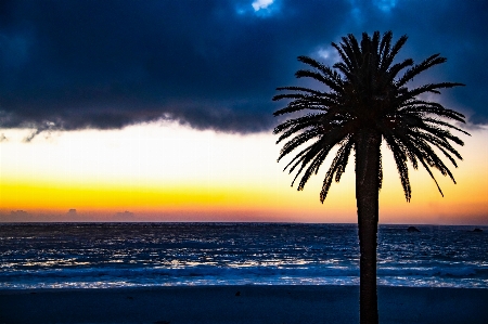 Sky tree horizon nature Photo