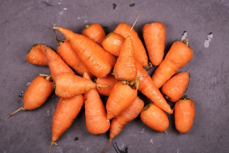 Carrot root vegetable baby Photo