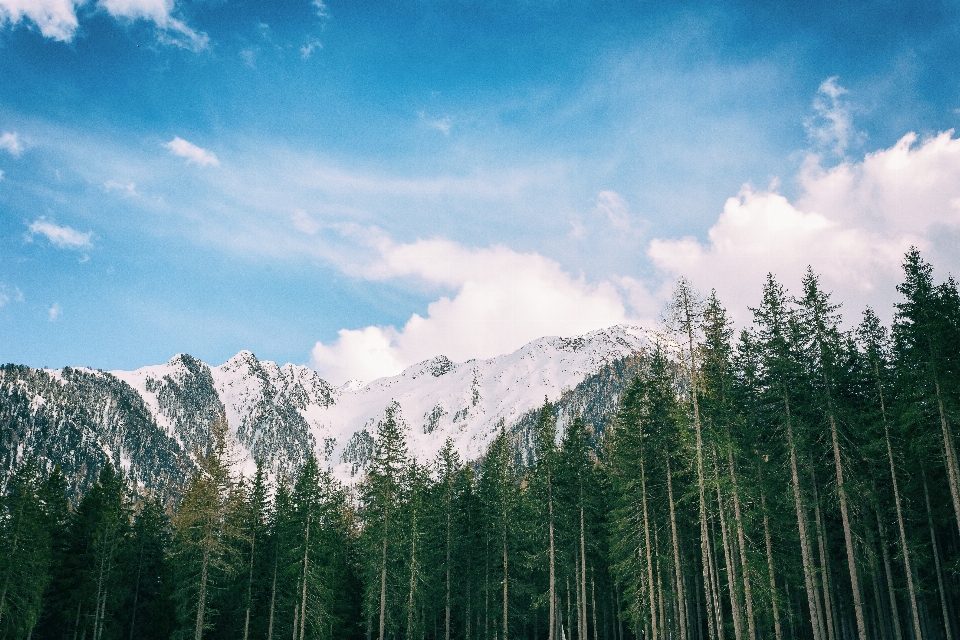 Bentang alam pegunungan
 gunung langit