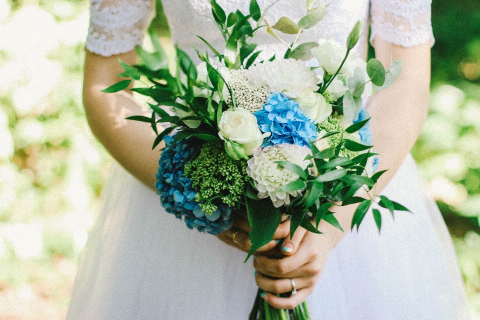 Bouquet flower blue photograph