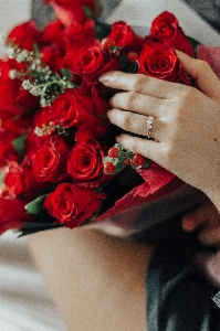 Red bouquet flower cut flowers Photo