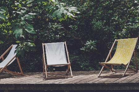 Furniture chair outdoor tree Photo