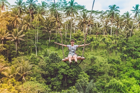 Foto Tumbuh-tumbuhan hutan lingkungan alami
 hujan