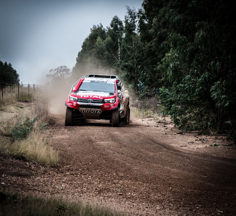 Véhicule terrestre
 ralliement
 courses