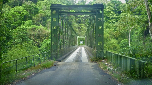 Foto Estrada verde ponte jubarte
