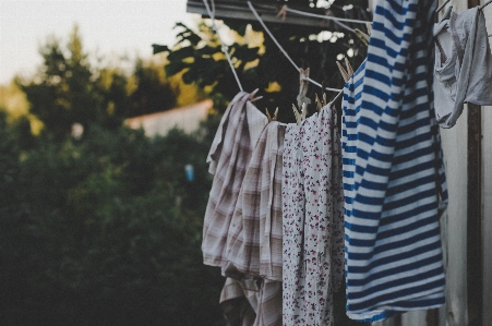 White blue clothing laundry Photo