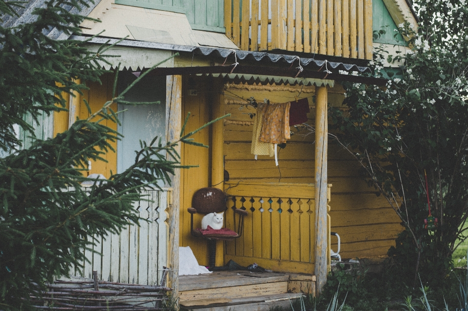 家 小屋 建物