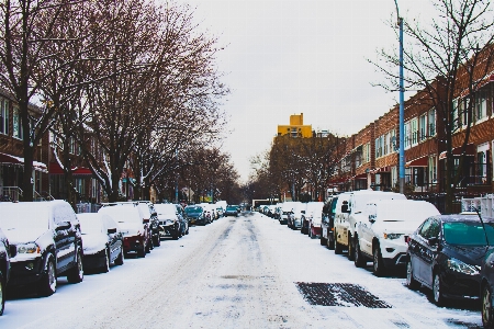 Snow winter urban area neighbourhood Photo