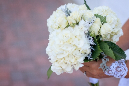 Flower bouquet arranging white Photo