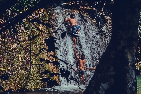 自然 木 水 冒険 写真