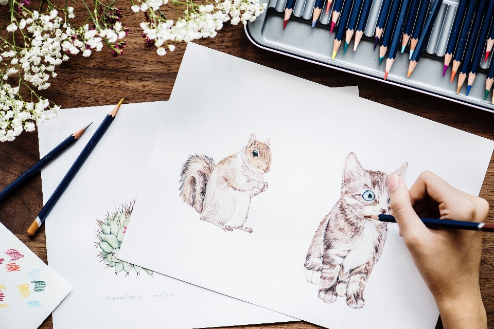 Drawing sketch illustration cat