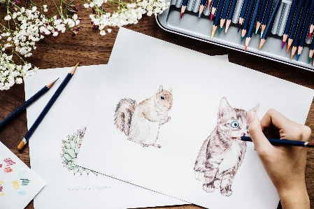 Drawing sketch illustration cat Photo