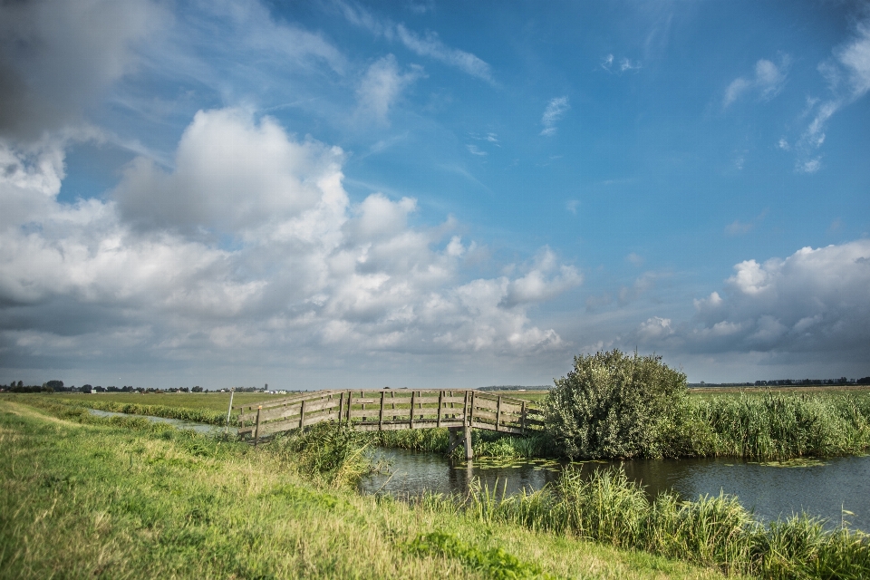 Natural landscape sky cloud grassland