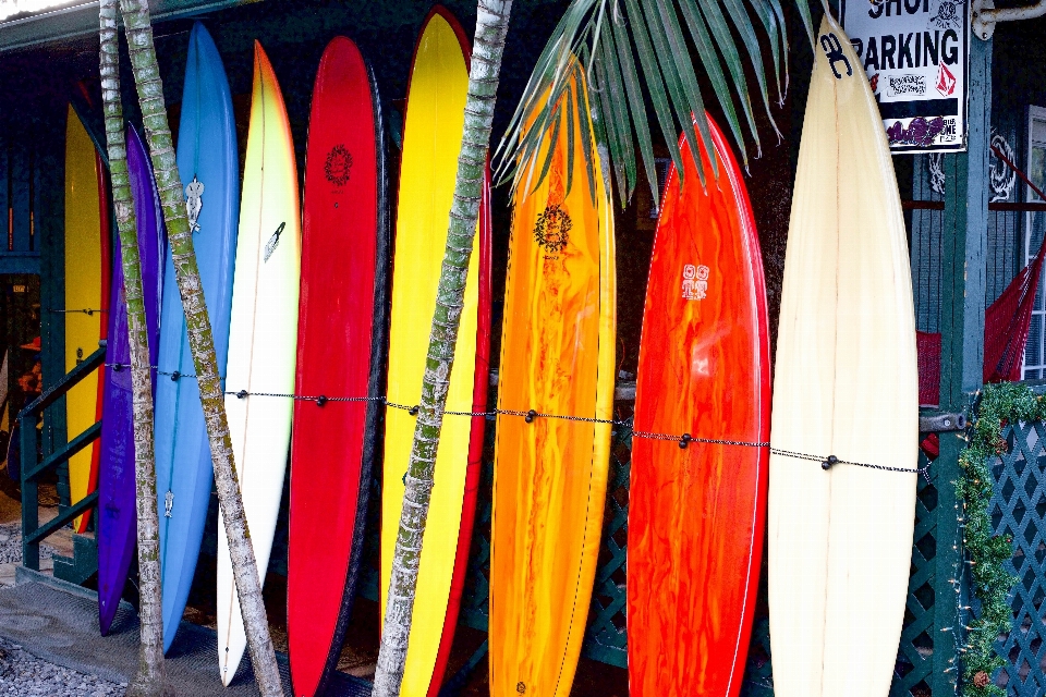 Equipamento de surf
 prancha surfe surf esportes aquáticos superfície
