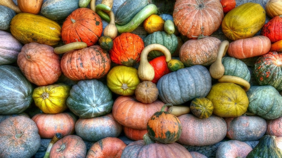 Alimentos naturales
 calabaza de invierno
 comida local
 calabaza
