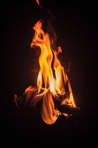 Fire flame heat bonfire Photo