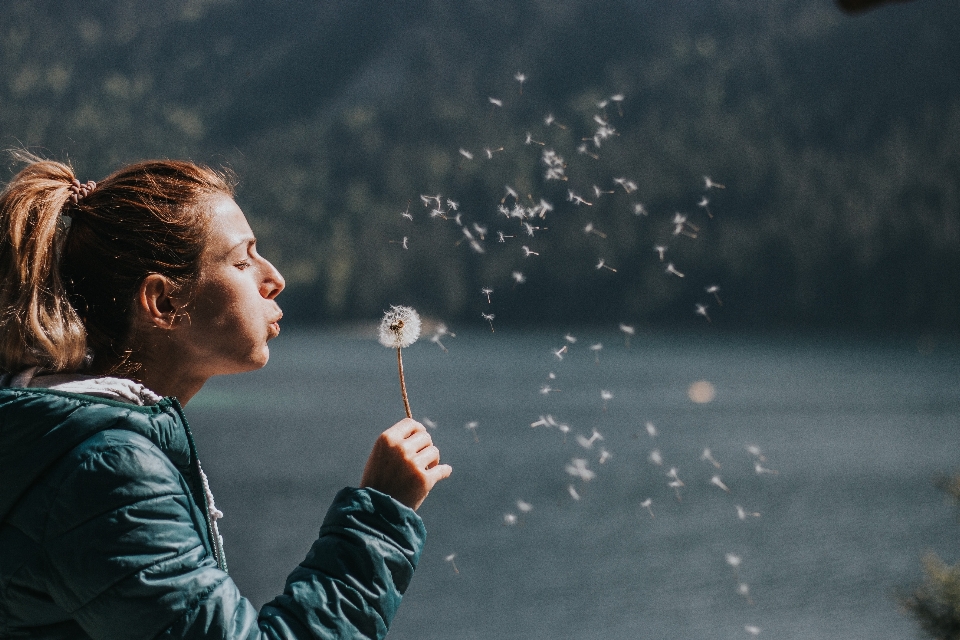 Water smoke sky dandelion