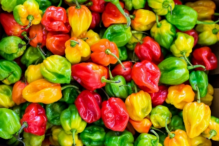 Natural foods local food habanero chili vegetable Photo