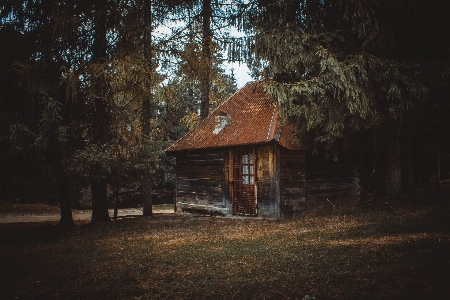 House tree log cabin sky Photo