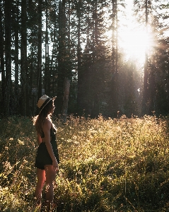 People in nature forest tree Photo