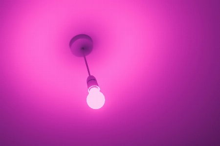 Violet purple pink light Photo