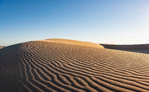 Foto Deserto sabbia erg
 ambiente naturale
