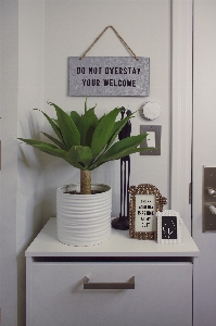 Houseplant shelf plant room Photo