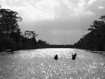 Foto Sungai badan air
 air putih