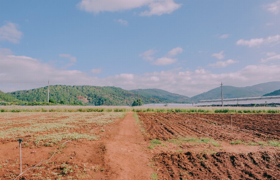 Soil sky dirt road field