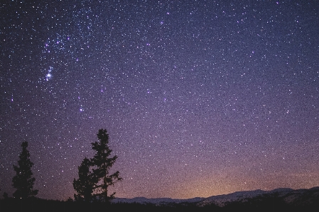 空 夜 木 紫 写真