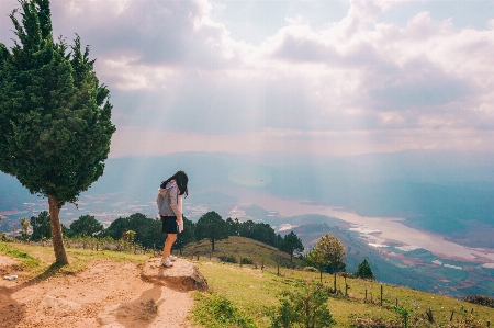 Foto Langit alam pohon awan