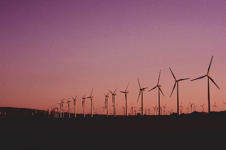 Wind turbine windmill farm sky Photo