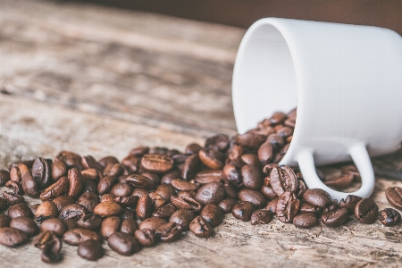 Coffee cup caffeine cocoa bean Photo